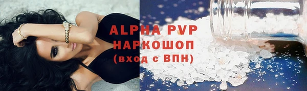 гидра Вязьма