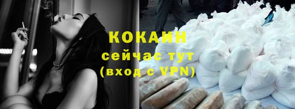 гидра Вязьма