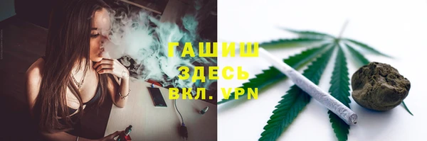 гидра Вязьма