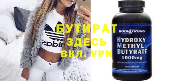 гидра Вязьма
