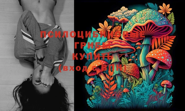 синтетический гашиш Вяземский